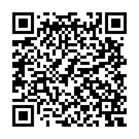 QR code for QMP 541