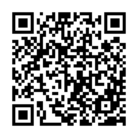 QR code for plate QNB 546