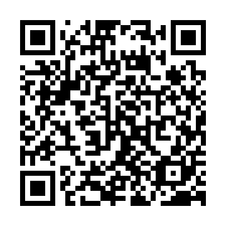 QR code for plate QNE 300