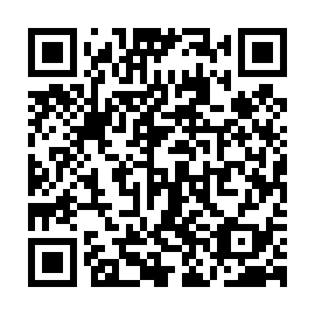 QR code for plate QNE 439