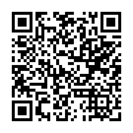 QR code for plate QNG 603