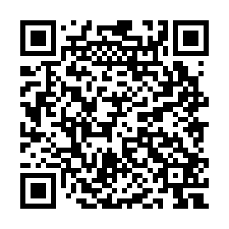 QR code for plate QNH 302