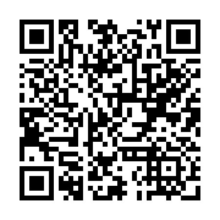 QR code for plate QNH 333