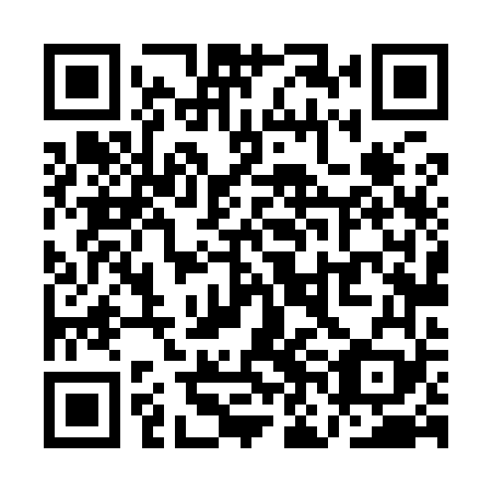 QR code for QNL 969