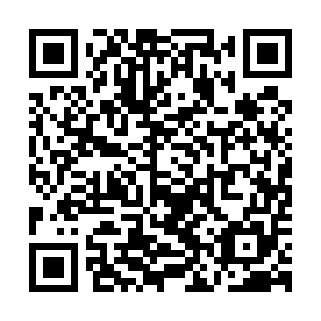 QR code for plate QNQ 555