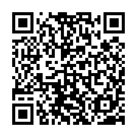 QR code for plate QOI 595