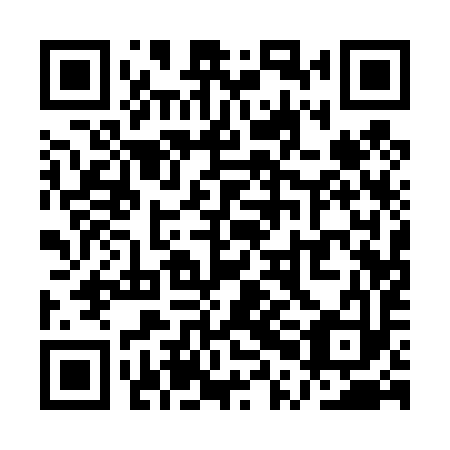 QR code for QPA 493