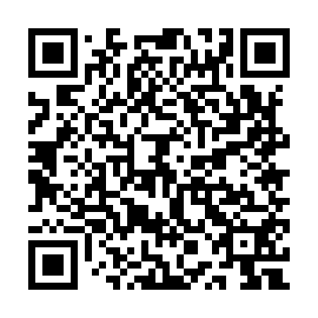 QR code for plate QPE 950