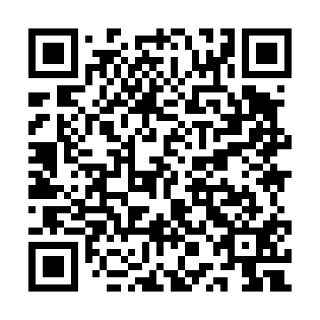 QR code for QPI 411