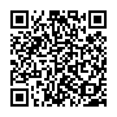 QR code for QPI419