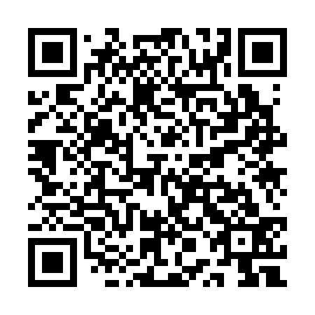 QR code for plate QPK 333