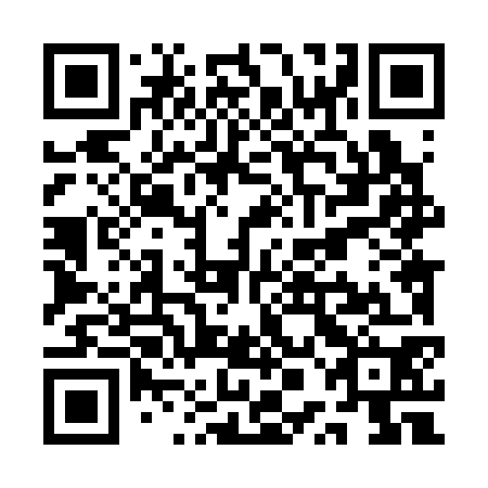QR code for QPL 370