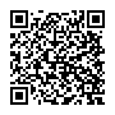 QR code for plate QPP 546