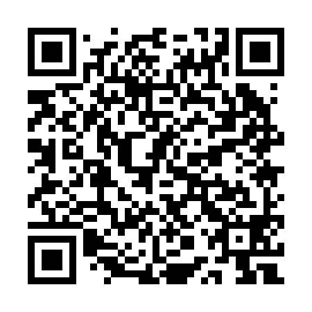 QR code for plate QPQ 298