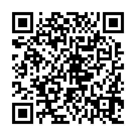 QR code for QPZ 292