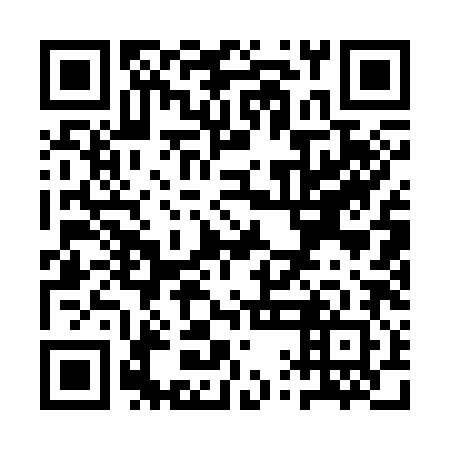 QR code for plate QQA 382
