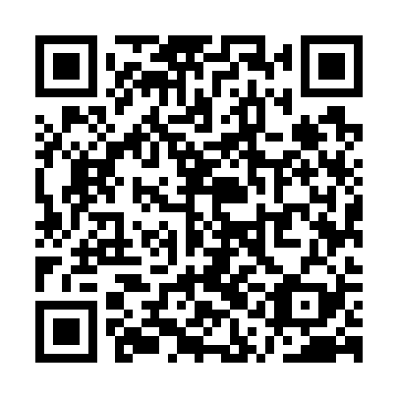 QR code for QQM729