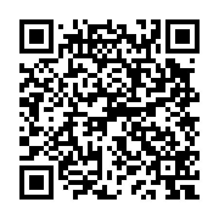 QR code for plate QQO 019