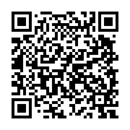 QR code for QQT 493