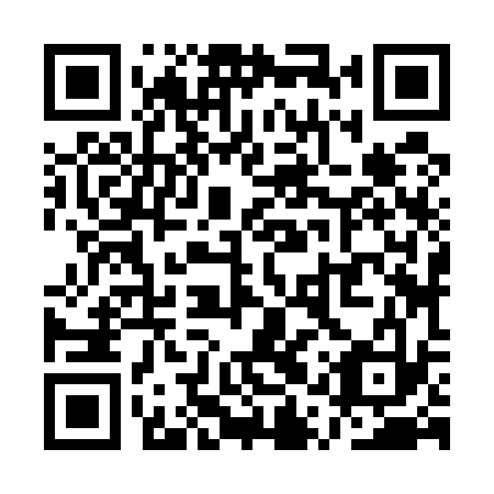 QR code for QQZ 533