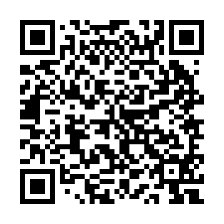 QR code for QQZ294