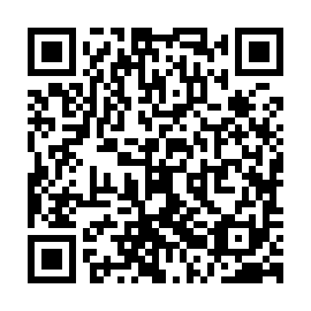 QR code for QRJ 991