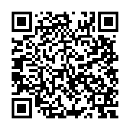 QR code for plate QRR 501