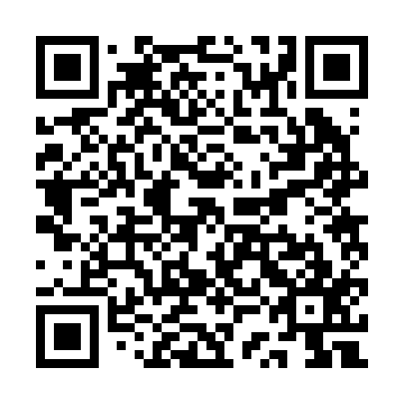 QR code for QSB 217