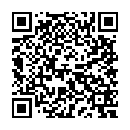 QR code for QSE 568