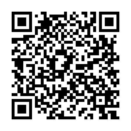 QR code for plate QSG 929