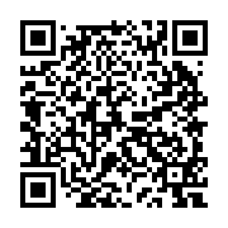 QR code for plate QSM 291