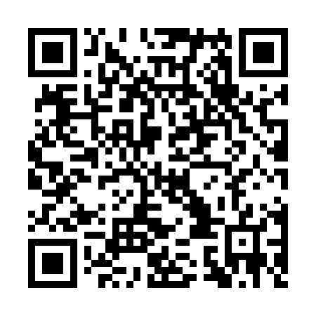 QR code for plate QSM 507