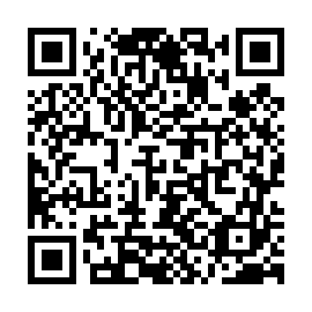 QR code for QSO 463
