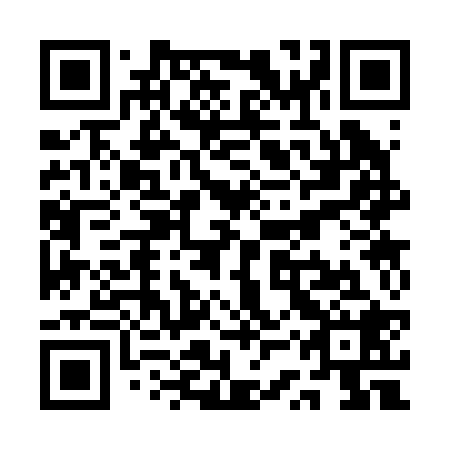 QR code for QSS 228