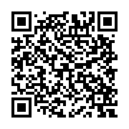 QR code for plate QSX 507