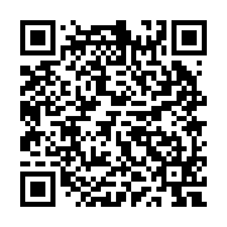 QR code for QTA 295