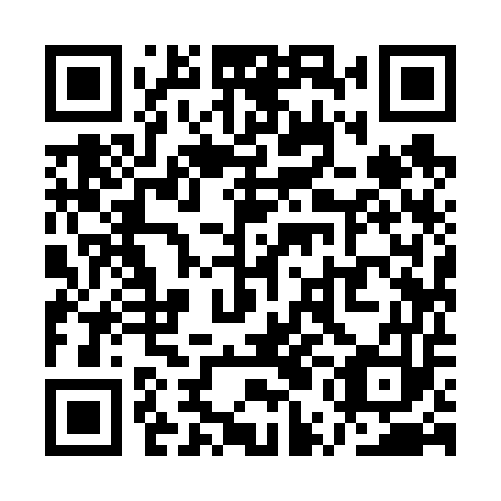 QR code for QUI653