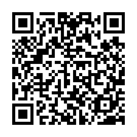 QR code for plate QUL 650