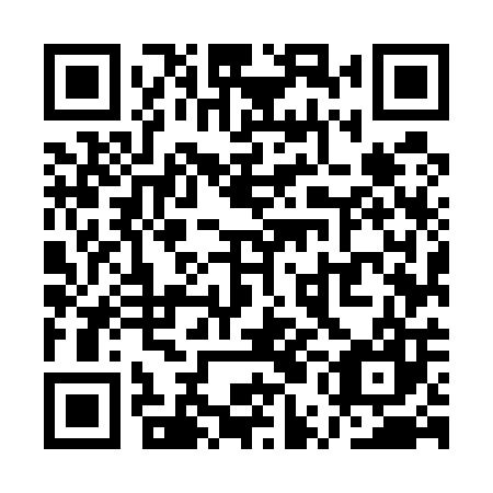 QR code for plate QUM 507