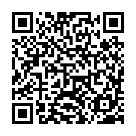 QR code for QWJ 295
