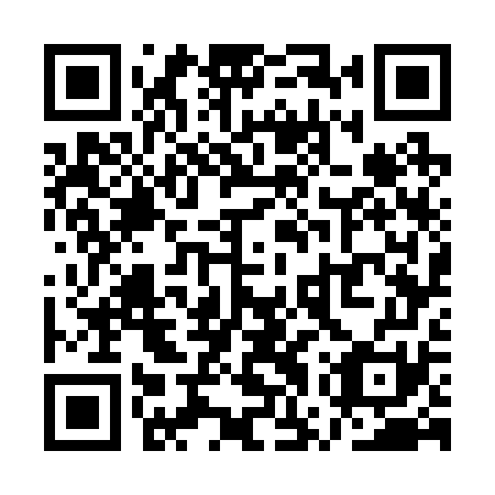 QR code for plate QWW 271