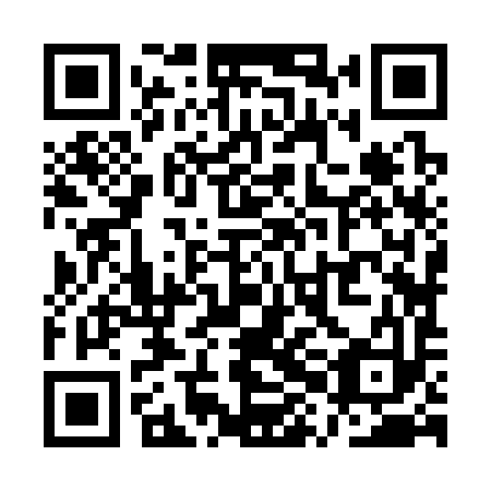 QR code for plate QXJ 393