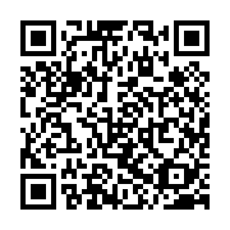 QR code for plate QXQ 029