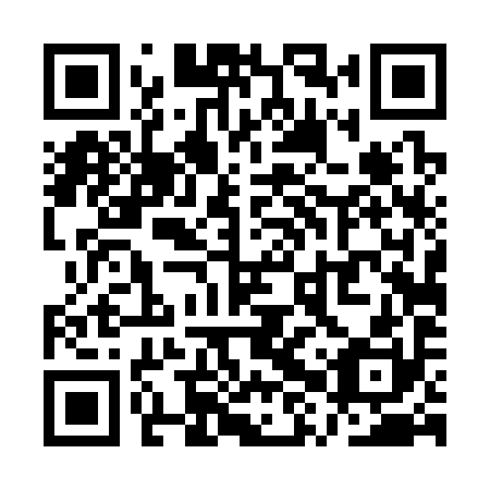 QR code for plate QXT 390