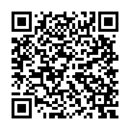 QR code for plate QXU 541