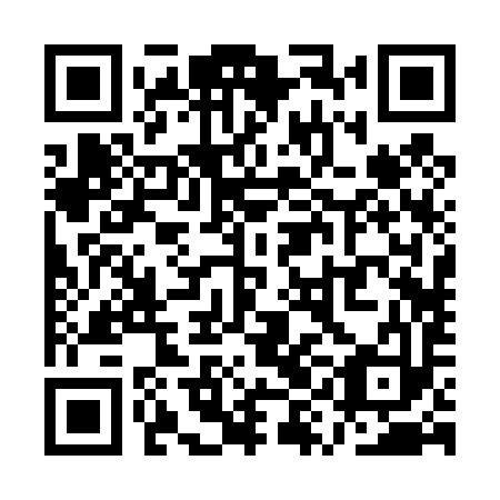QR code for QYB 493