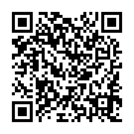 QR code for QYL 955