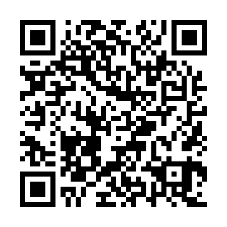 QR code for QYN 161