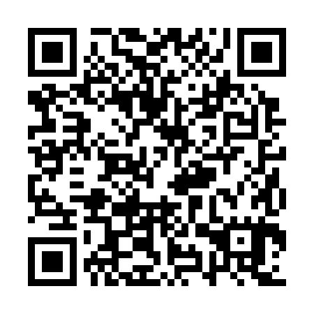 QR code for QYR385
