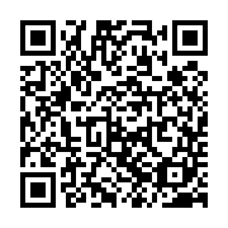 QR code for QZC 541